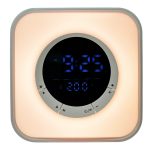 Nettech P10 Minibox Kablosuz Hoparlör - Speaker (Çeşitli Renk) - Görsel 5