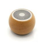 Glr Tech CY-13TF Minibox Kablosuz Hoparlör - Speaker