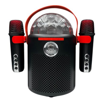 Nettech Y-13 Karaoke Box Kablosuz Hoparlör - Speaker (Çeşitli Renk)